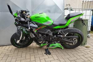 ZX4RR 2024 ICIDENTATA