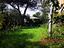Immagine 28