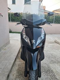 Peugeout Geopolys 250