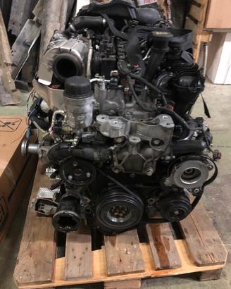 MOTORE 204DTD
