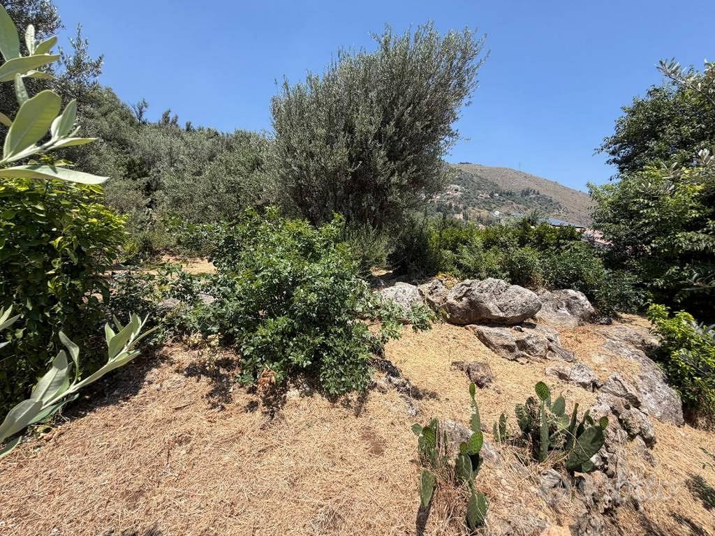 Terreno di 2600 m² a Monreale - Vista 5