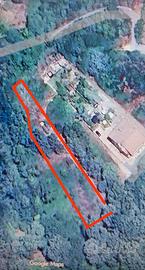 Vendita terreno rogliano (cs)