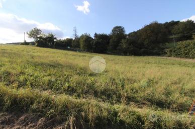 TER. RESIDENZIALE A LANGHIRANO