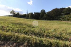 TER. RESIDENZIALE A LANGHIRANO