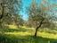 Immagine 15