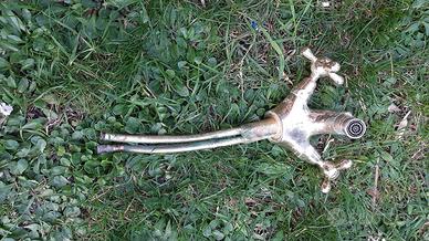 rubinetto in ottone marca Paini