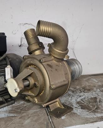 pompa da travaso in bronzo d.40