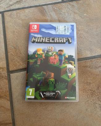 Gioco nintedno switch minecraft