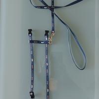 Pettorina e guinzaglio per gattini