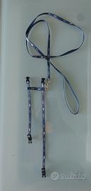 Pettorina e guinzaglio per gattini