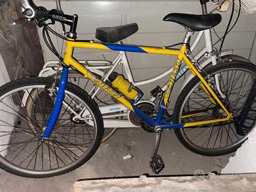 bicicletta da uomo Gilardi