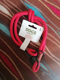 Collare nuovo per cane 