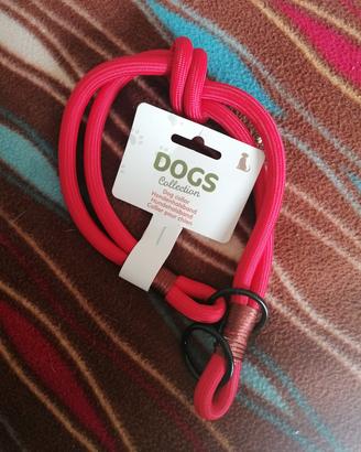 Collare nuovo per cane 