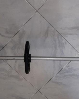 Decespugliatore Kawasaki TG 20