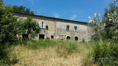 Casolare di campagna più terreni