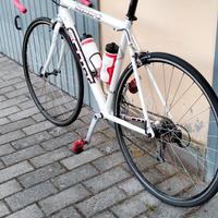 bici da corsa in carbonio tenuta molto bene.