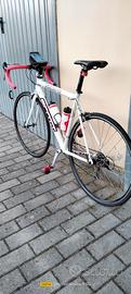 bici da corsa in carbonio tenuta molto bene.