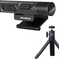 Dual Webcam Avermedia PW313D