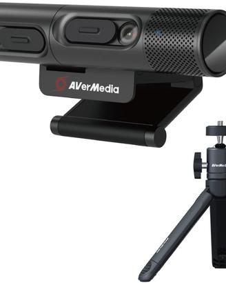 Dual Webcam Avermedia PW313D