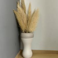 Vaso da terra