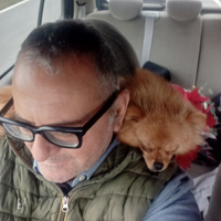 Autista C E CQC ADR Cisterna