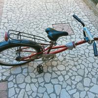 Cammellino o bici a traino