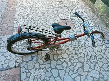 Cammellino o bici a traino