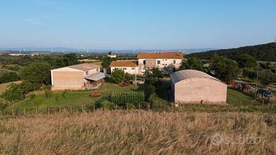 Podere Località Roggi