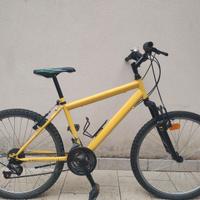 Bici ragazzo