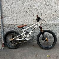 BICI BAMBINO 20”