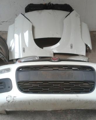 musata panda anno 15/16