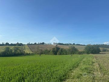 TER. AGRICOLO A MONTECASTRILLI