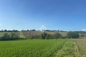 TER. AGRICOLO A MONTECASTRILLI