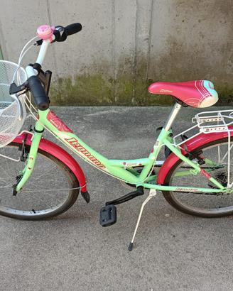 Bicicletta raggio 24