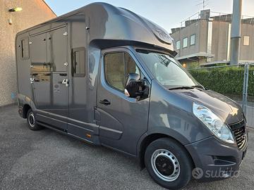 Van trasporto 2 cavalli Renault Master DCI