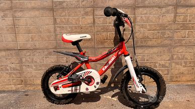 Bicicletta Kawasaki