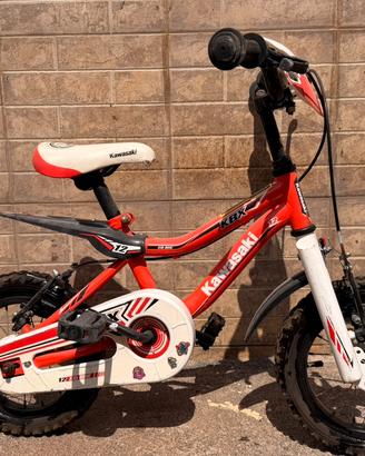 Bicicletta Kawasaki
