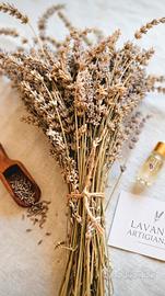 rametti di lavanda