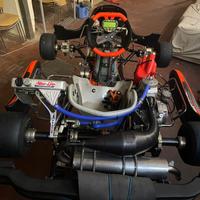 Kart crg road rebel kz 2023