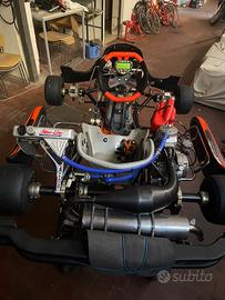 Kart crg road rebel kz 2023