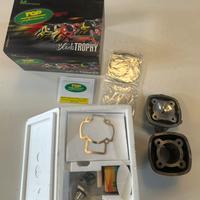 Gruppo termico ø 48 per motori Piaggio/gilera 50cc