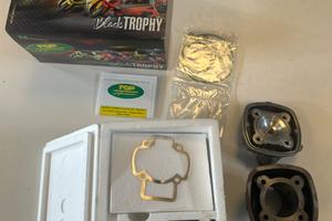 Gruppo termico ø 48 per motori Piaggio/gilera 50cc