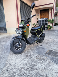 Honda Zoomer 50