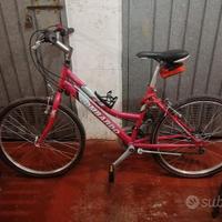 Due bici