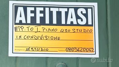 Ampio appartamento uso ufficio in condivisione