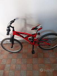 Bicicletta Montainbike