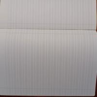 Quaderni a righe di 3 elementare