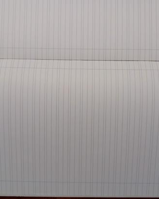 Quaderni a righe di 3 elementare