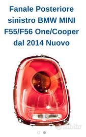 fanale post sx Mini
