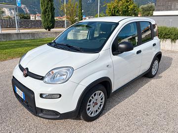 Fiat Panda 1.0 Hybrid Van 2 posti - 27ooo Km